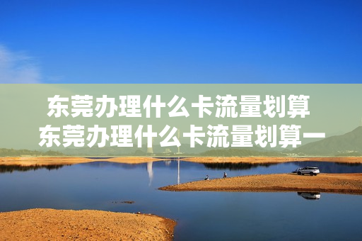 东莞办理什么卡流量划算 东莞办理什么卡流量划算一点