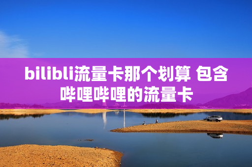 bilibli流量卡那个划算 包含哔哩哔哩的流量卡
