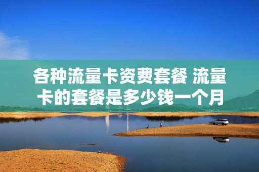 各种流量卡资费套餐 流量卡的套餐是多少钱一个月