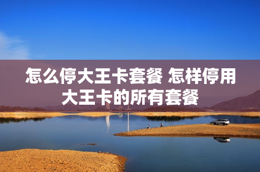 怎么停大王卡套餐 怎样停用大王卡的所有套餐