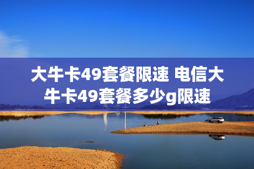 大牛卡49套餐限速 电信大牛卡49套餐多少g限速
