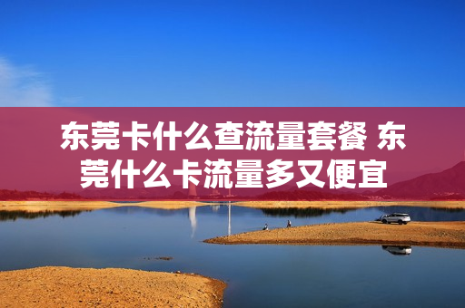 东莞卡什么查流量套餐 东莞什么卡流量多又便宜