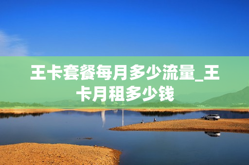 王卡套餐每月多少流量_王卡月租多少钱