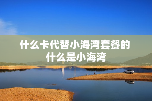 什么卡代替小海湾套餐的 什么是小海湾