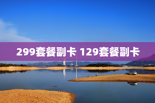 299套餐副卡 129套餐副卡