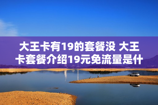 大王卡有19的套餐没 大王卡套餐介绍19元免流量是什么意思
