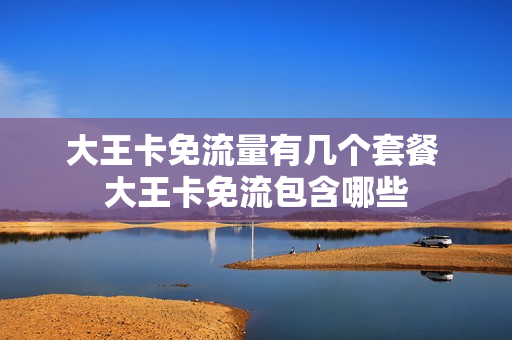 大王卡免流量有几个套餐 大王卡免流包含哪些