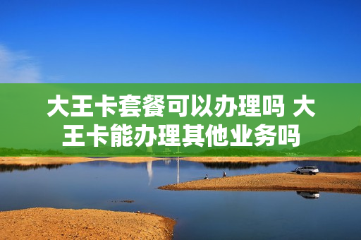 大王卡套餐可以办理吗 大王卡能办理其他业务吗