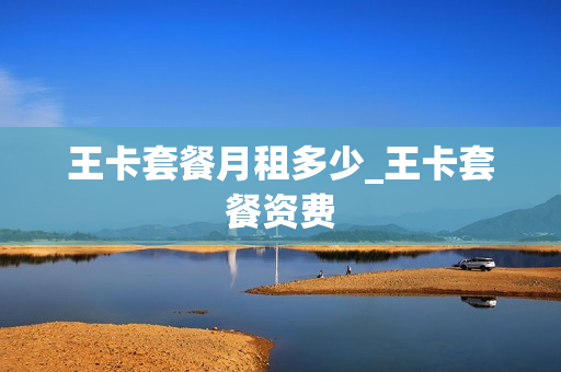 王卡套餐月租多少_王卡套餐资费