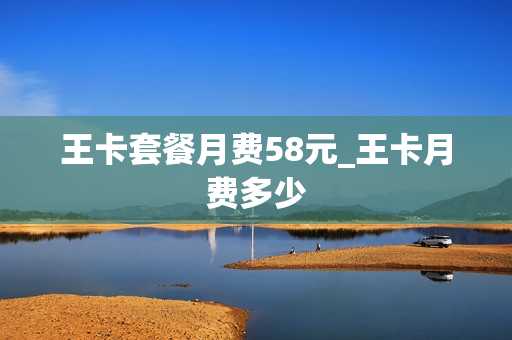 王卡套餐月费58元_王卡月费多少