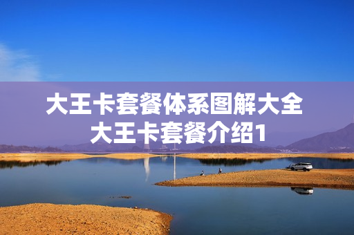 大王卡套餐体系图解大全 大王卡套餐介绍1