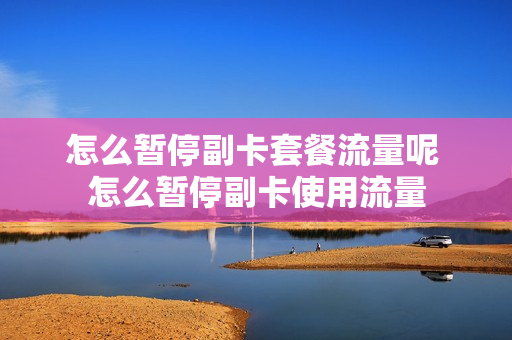 怎么暂停副卡套餐流量呢 怎么暂停副卡使用流量