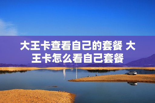 大王卡查看自己的套餐 大王卡怎么看自己套餐