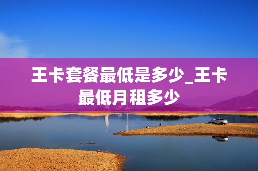 王卡套餐最低是多少_王卡最低月租多少