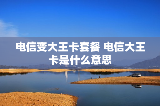 电信变大王卡套餐 电信大王卡是什么意思