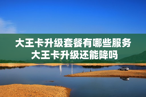 大王卡升级套餐有哪些服务 大王卡升级还能降吗