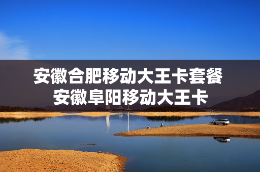 安徽合肥移动大王卡套餐 安徽阜阳移动大王卡