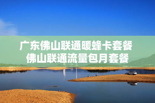 广东佛山联通暖蜂卡套餐 佛山联通流量包月套餐