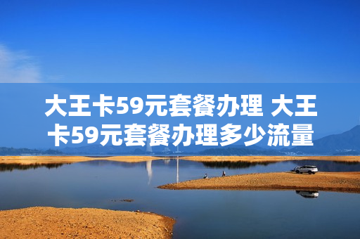大王卡59元套餐办理 大王卡59元套餐办理多少流量