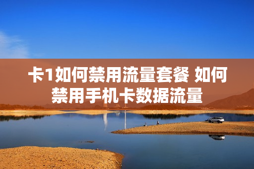 卡1如何禁用流量套餐 如何禁用手机卡数据流量