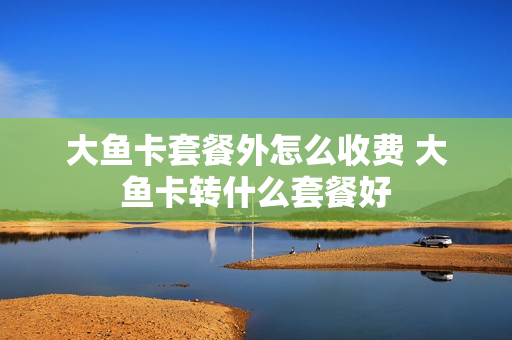 大鱼卡套餐外怎么收费 大鱼卡转什么套餐好