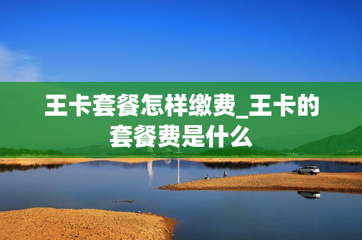 王卡套餐怎样缴费_王卡的套餐费是什么