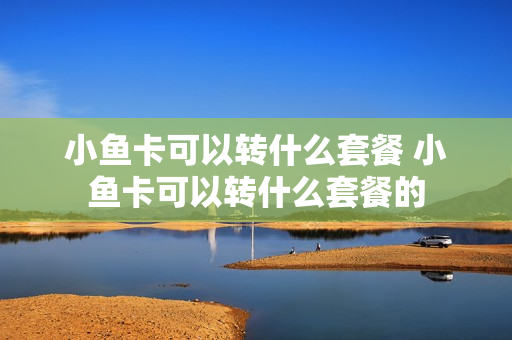 小鱼卡可以转什么套餐 小鱼卡可以转什么套餐的