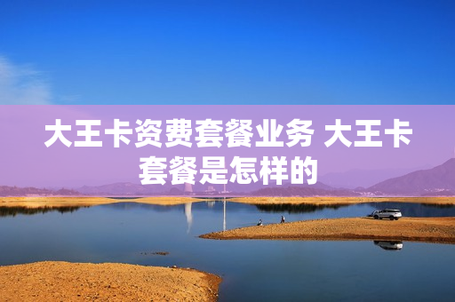 大王卡资费套餐业务 大王卡套餐是怎样的