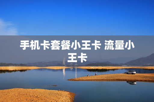 手机卡套餐小王卡 流量小王卡