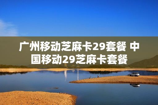 广州移动芝麻卡29套餐 中国移动29芝麻卡套餐