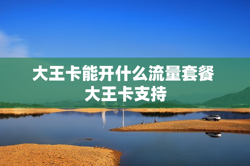 大王卡能开什么流量套餐 大王卡支持