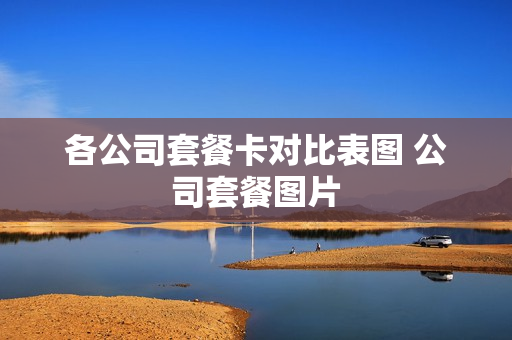 各公司套餐卡对比表图 公司套餐图片