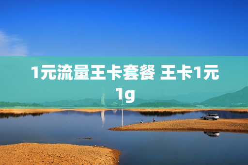 1元流量王卡套餐 王卡1元1g