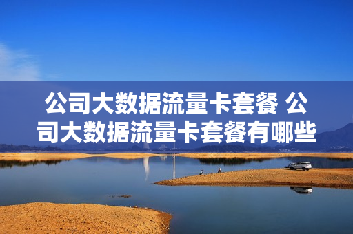 公司大数据流量卡套餐 公司大数据流量卡套餐有哪些