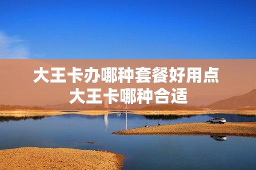 大王卡办哪种套餐好用点 大王卡哪种合适