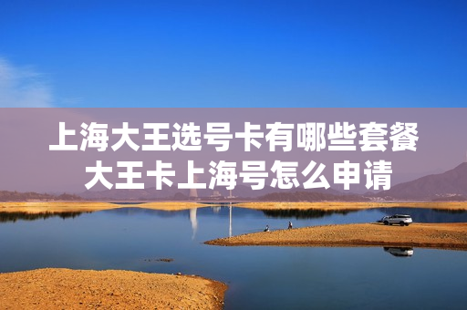上海大王选号卡有哪些套餐 大王卡上海号怎么申请