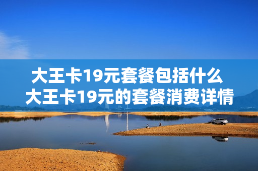 大王卡19元套餐包括什么 大王卡19元的套餐消费详情