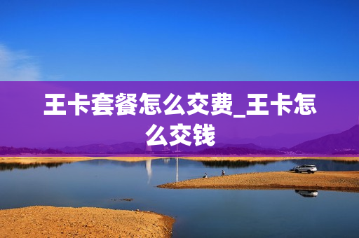 王卡套餐怎么交费_王卡怎么交钱