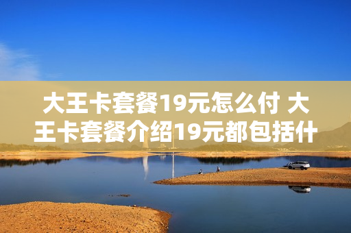 大王卡套餐19元怎么付 大王卡套餐介绍19元都包括什么