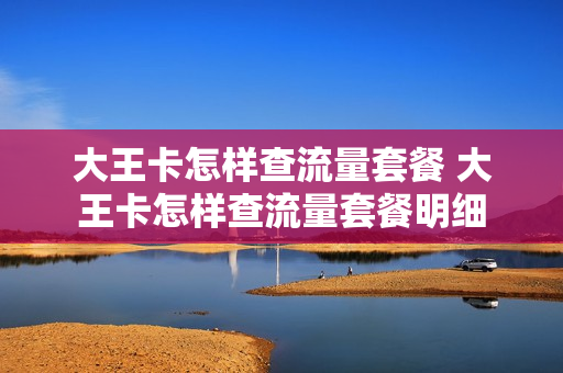 大王卡怎样查流量套餐 大王卡怎样查流量套餐明细