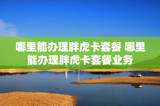 哪里能办理胖虎卡套餐 哪里能办理胖虎卡套餐业务