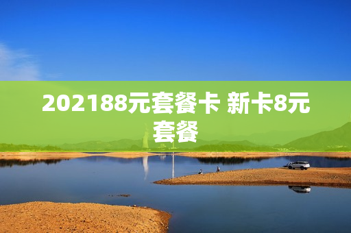 202188元套餐卡 新卡8元套餐