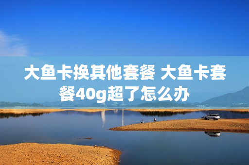大鱼卡换其他套餐 大鱼卡套餐40g超了怎么办
