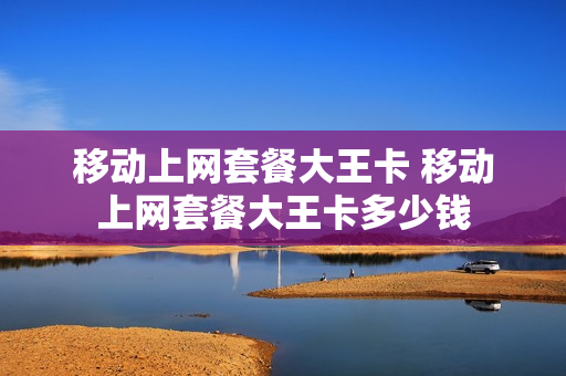 移动上网套餐大王卡 移动上网套餐大王卡多少钱