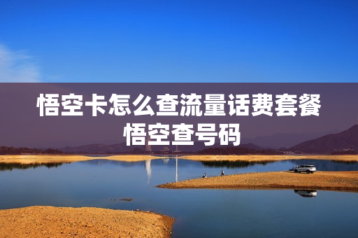 悟空卡怎么查流量话费套餐 悟空查号码
