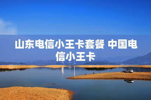 山东电信小王卡套餐 中国电信小王卡