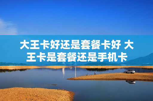 大王卡好还是套餐卡好 大王卡是套餐还是手机卡