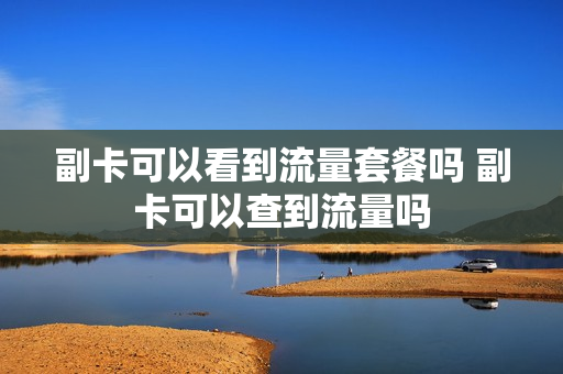 副卡可以看到流量套餐吗 副卡可以查到流量吗