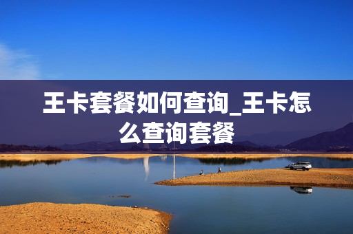 王卡套餐如何查询_王卡怎么查询套餐