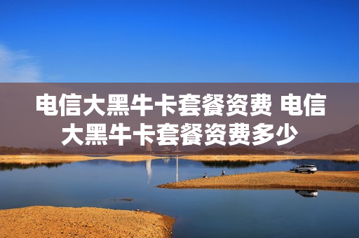 电信大黑牛卡套餐资费 电信大黑牛卡套餐资费多少